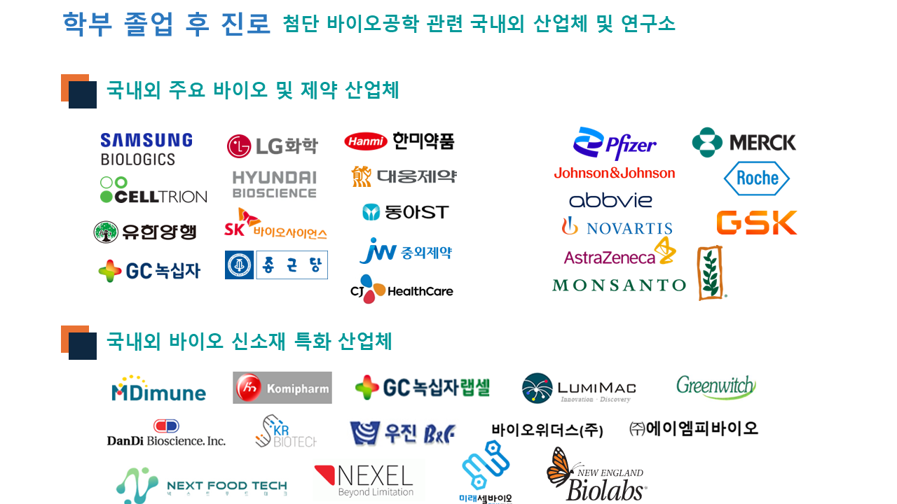 학부 졸업 후 진로_1